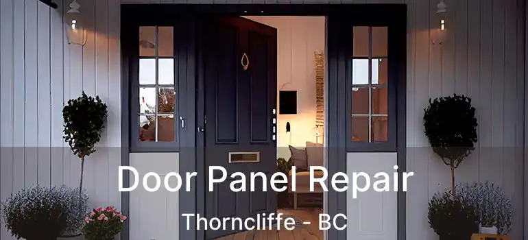  Door Panel Repair Thorncliffe - BC
