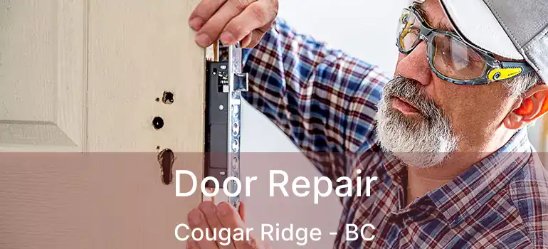  Door Repair Cougar Ridge - BC