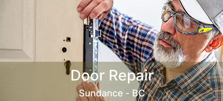  Door Repair Sundance - BC