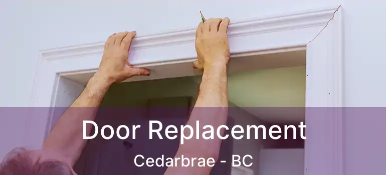  Door Replacement Cedarbrae - BC