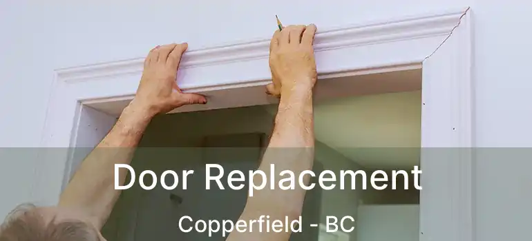 Door Replacement Copperfield - BC
