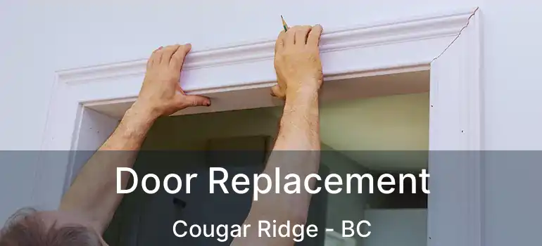  Door Replacement Cougar Ridge - BC