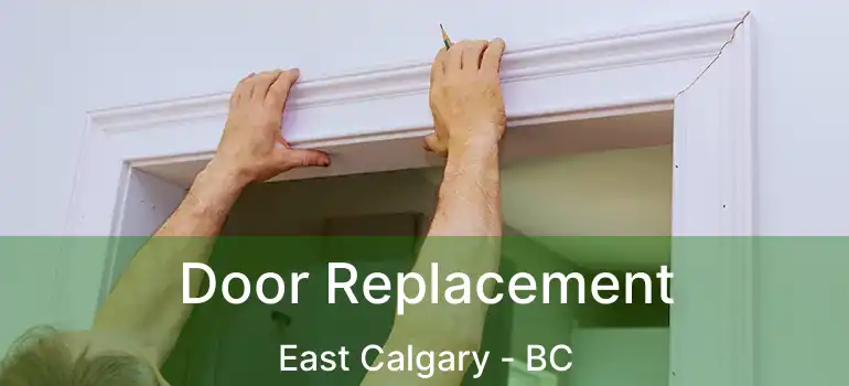 Door Replacement East Calgary - BC