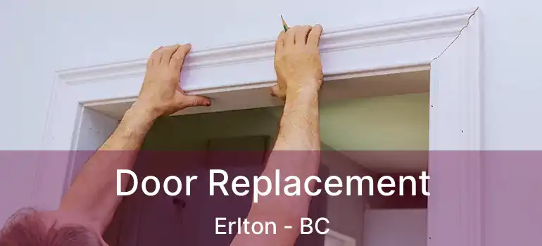  Door Replacement Erlton - BC