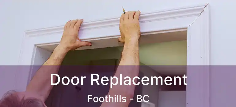  Door Replacement Foothills - BC