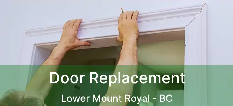  Door Replacement Lower Mount Royal - BC