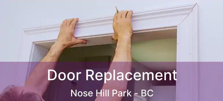  Door Replacement Nose Hill Park - BC