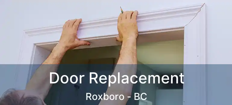  Door Replacement Roxboro - BC
