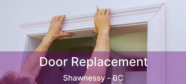  Door Replacement Shawnessy - BC