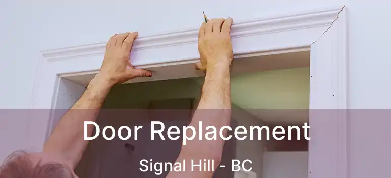  Door Replacement Signal Hill - BC