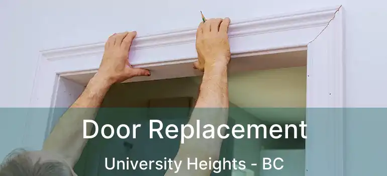 Door Replacement University Heights - BC