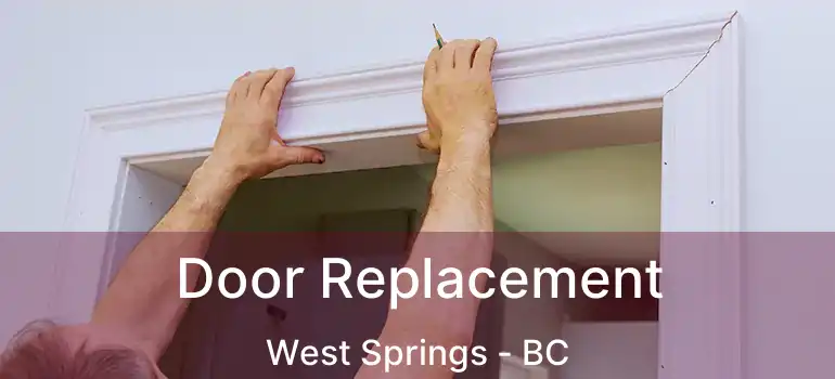  Door Replacement West Springs - BC