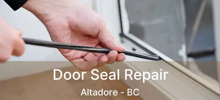  Door Seal Repair Altadore - BC