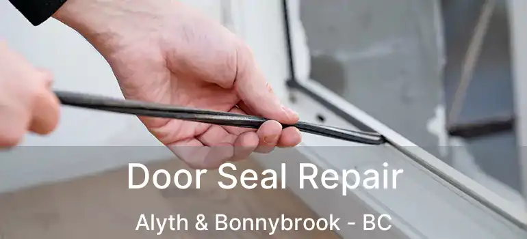  Door Seal Repair Alyth & Bonnybrook - BC