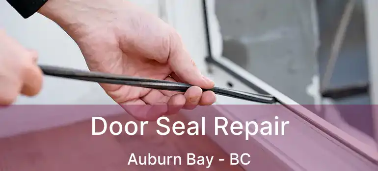  Door Seal Repair Auburn Bay - BC