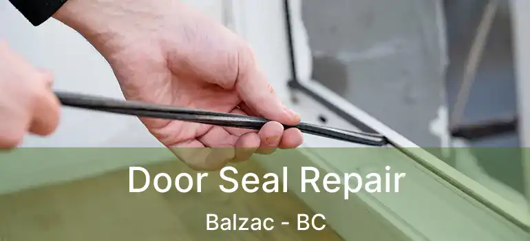  Door Seal Repair Balzac - BC