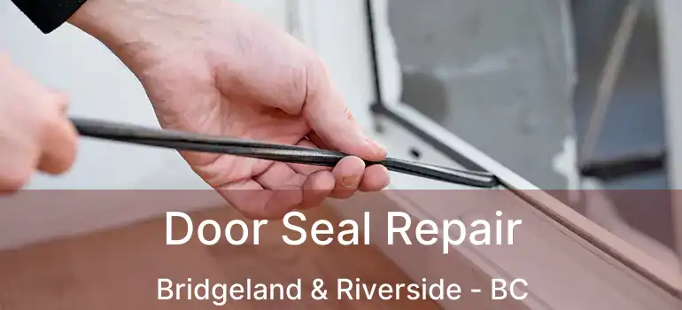  Door Seal Repair Bridgeland & Riverside - BC