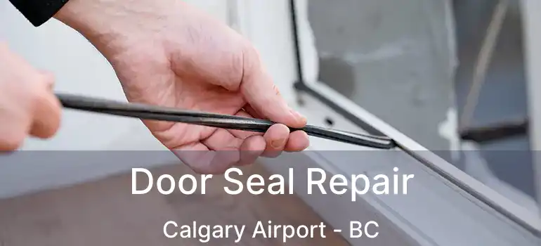  Door Seal Repair Calgary Airport - BC