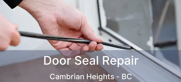 Door Seal Repair Cambrian Heights - BC