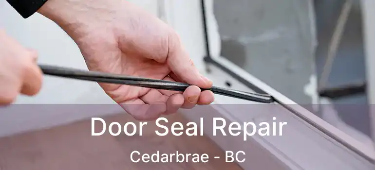  Door Seal Repair Cedarbrae - BC
