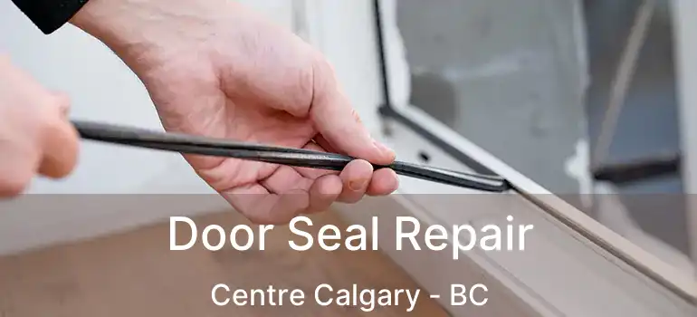  Door Seal Repair Centre Calgary - BC