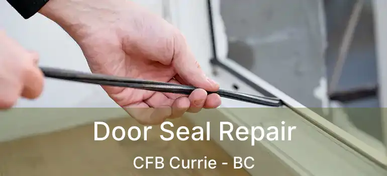  Door Seal Repair CFB Currie - BC