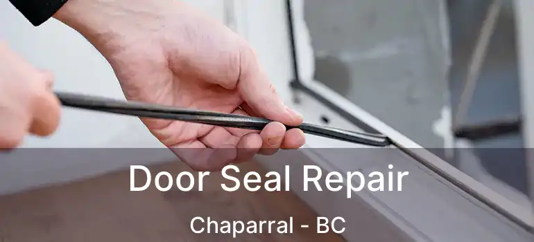  Door Seal Repair Chaparral - BC