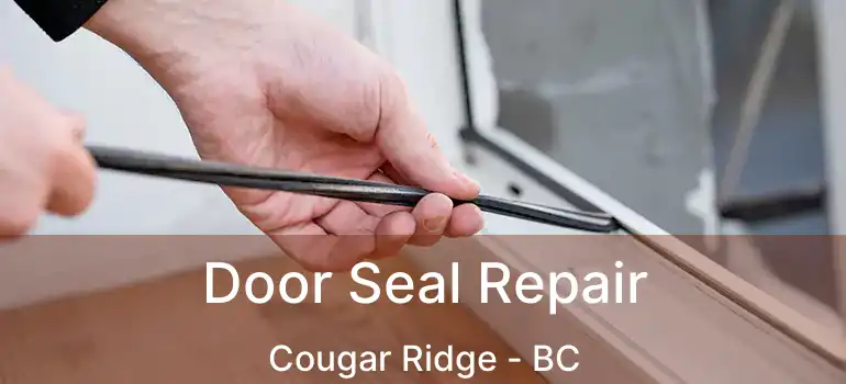  Door Seal Repair Cougar Ridge - BC