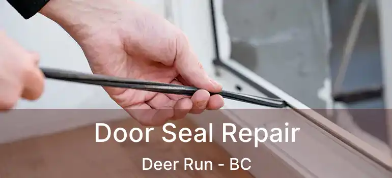  Door Seal Repair Deer Run - BC
