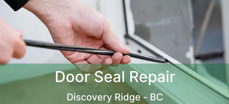  Door Seal Repair Discovery Ridge - BC