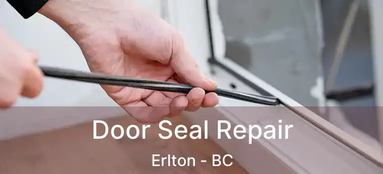  Door Seal Repair Erlton - BC