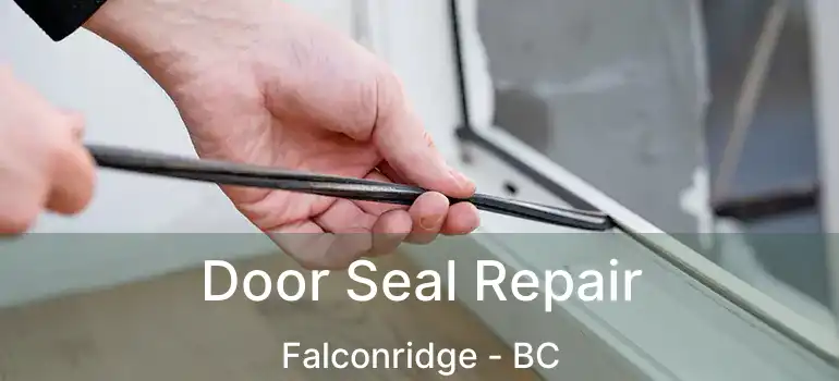  Door Seal Repair Falconridge - BC