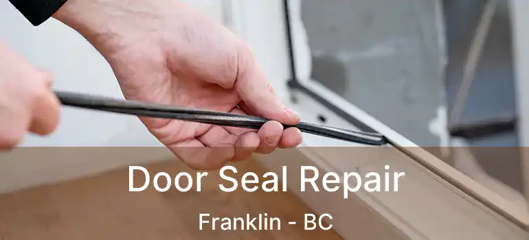  Door Seal Repair Franklin - BC