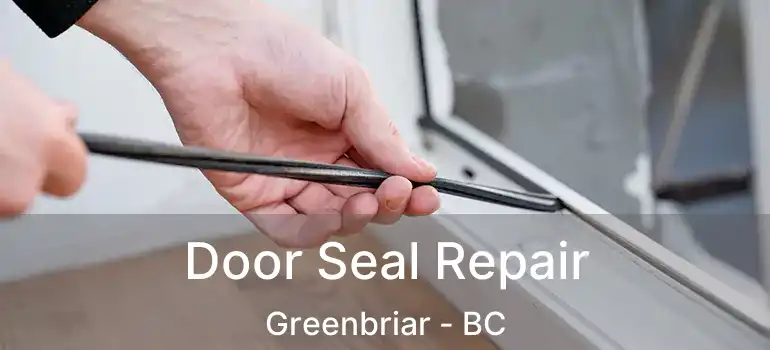  Door Seal Repair Greenbriar - BC