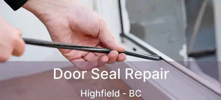  Door Seal Repair Highfield - BC