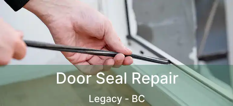  Door Seal Repair Legacy - BC