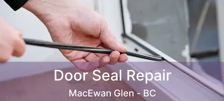  Door Seal Repair MacEwan Glen - BC