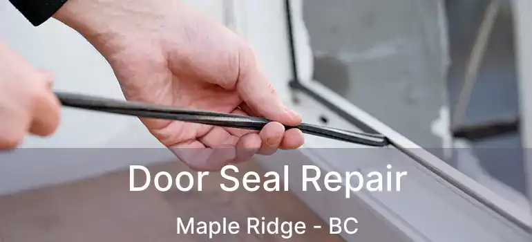 Door Seal Repair Maple Ridge - BC