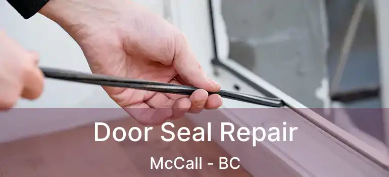  Door Seal Repair McCall - BC