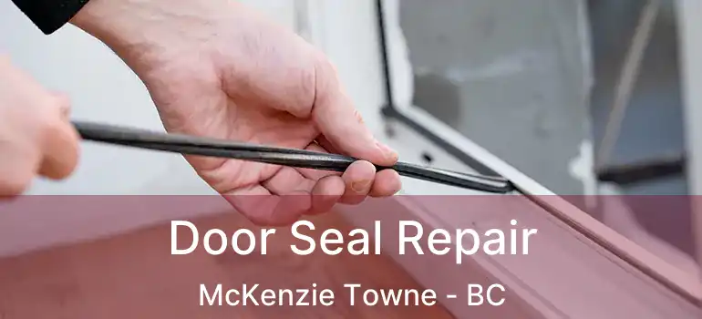  Door Seal Repair McKenzie Towne - BC