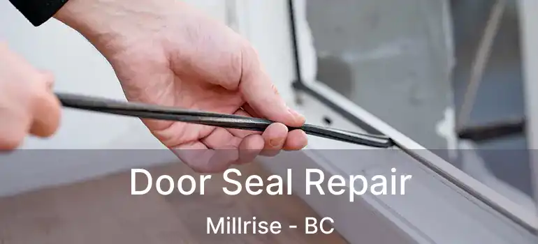  Door Seal Repair Millrise - BC