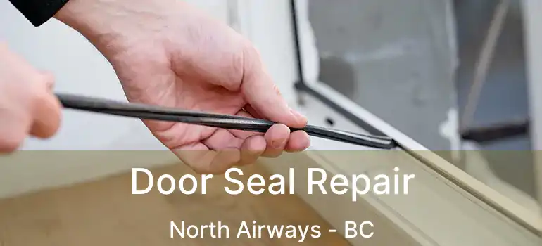  Door Seal Repair North Airways - BC