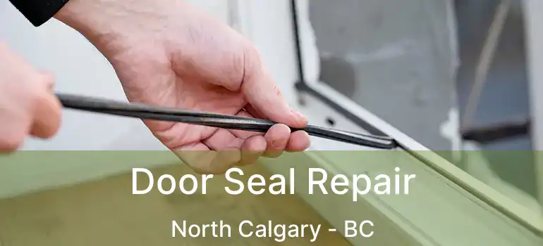  Door Seal Repair North Calgary - BC