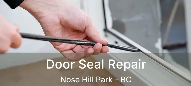  Door Seal Repair Nose Hill Park - BC