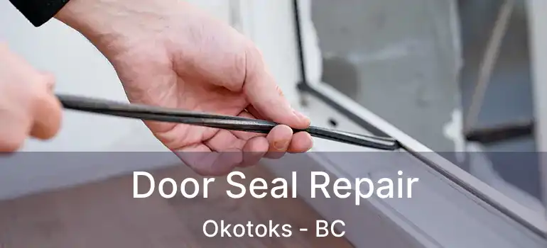  Door Seal Repair Okotoks - BC