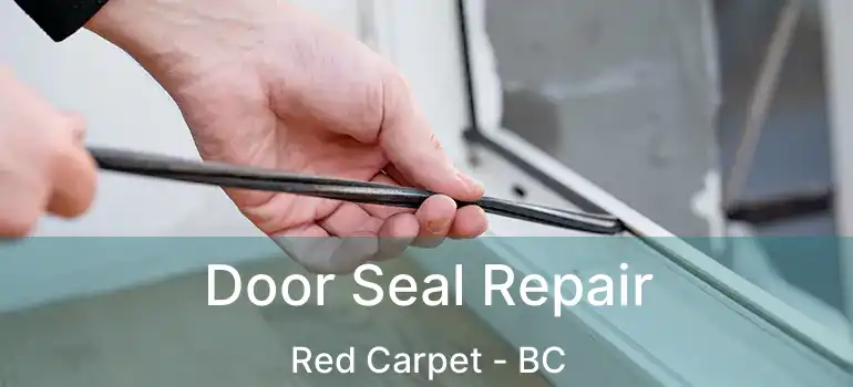  Door Seal Repair Red Carpet - BC