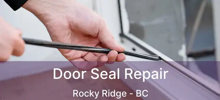  Door Seal Repair Rocky Ridge - BC