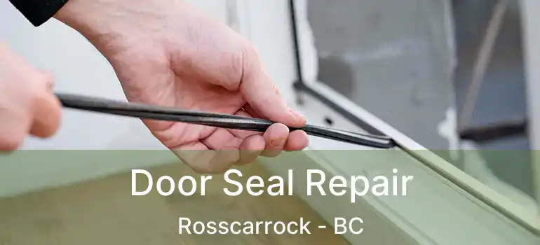  Door Seal Repair Rosscarrock - BC