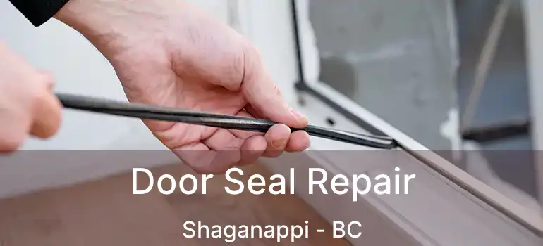  Door Seal Repair Shaganappi - BC