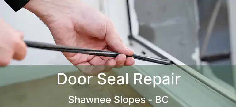  Door Seal Repair Shawnee Slopes - BC
